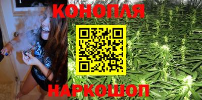 jwh Камышлов