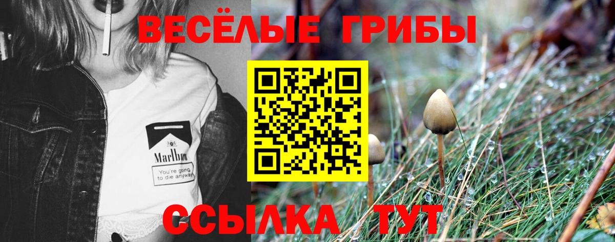 Псилоцибиновые грибы MAGIC MUSHROOMS Кыштым