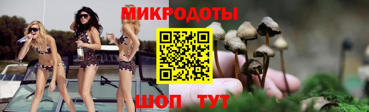 Псилоцибиновые грибы Cubensis  Вход с VPN  Кыштым 